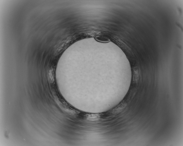 X0000100420088200806271517