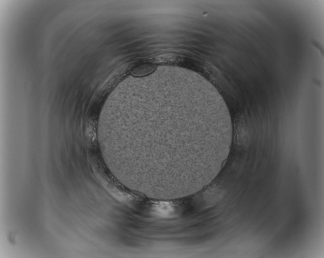 X0000100420091200806271517