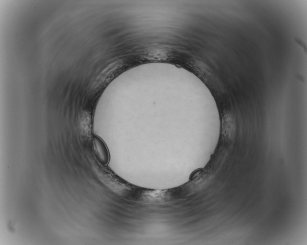 X0000100420092200806271517