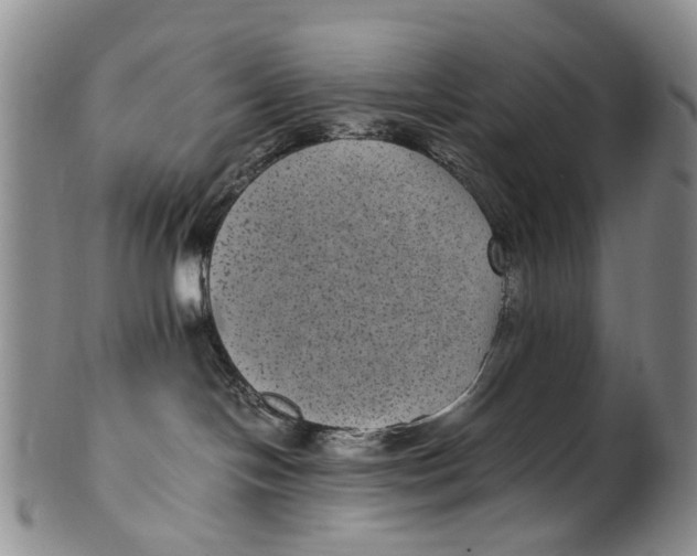 X0000100420094200806271517