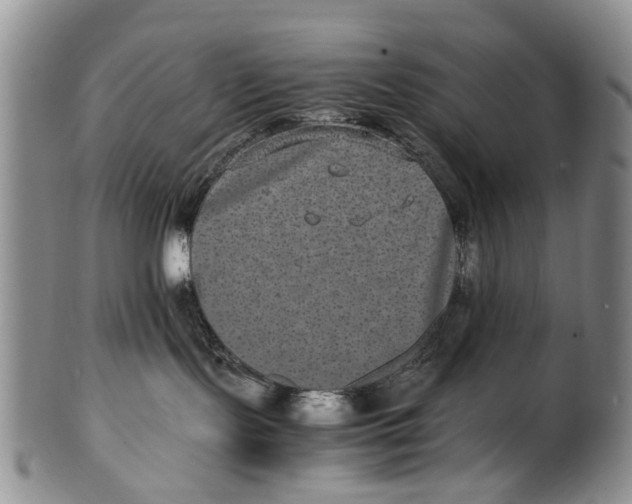 X0000100420095200806271517