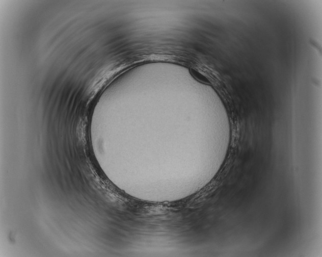 X0000100420098200806271516