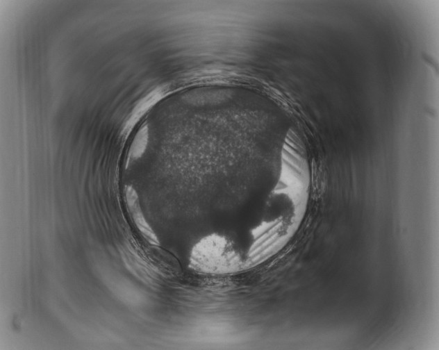 X0000100420099200806271516