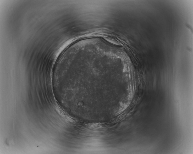 X0000100420100200806271516