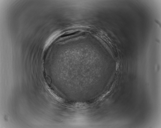 X0000100420101200806271516