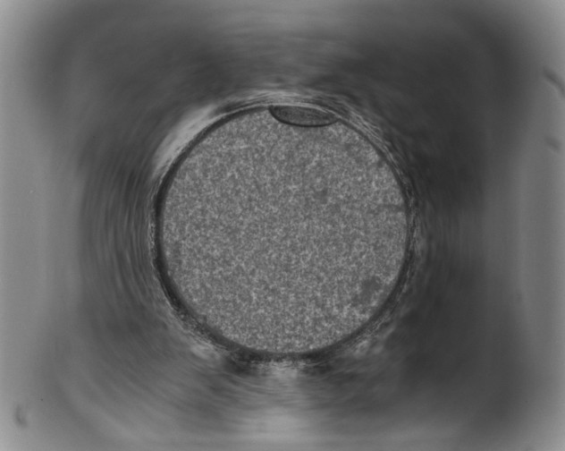 X0000100420103200806271516