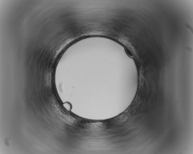 X0000100420108200806271516