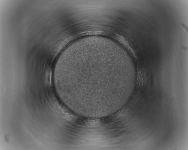 X0000100420110200806271516