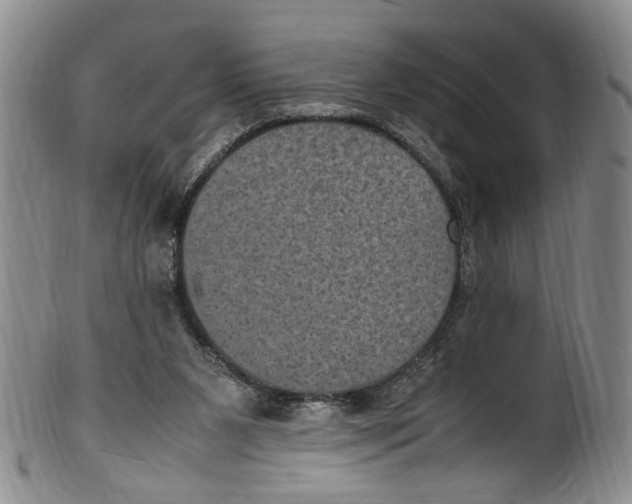 X0000100420111200806271516