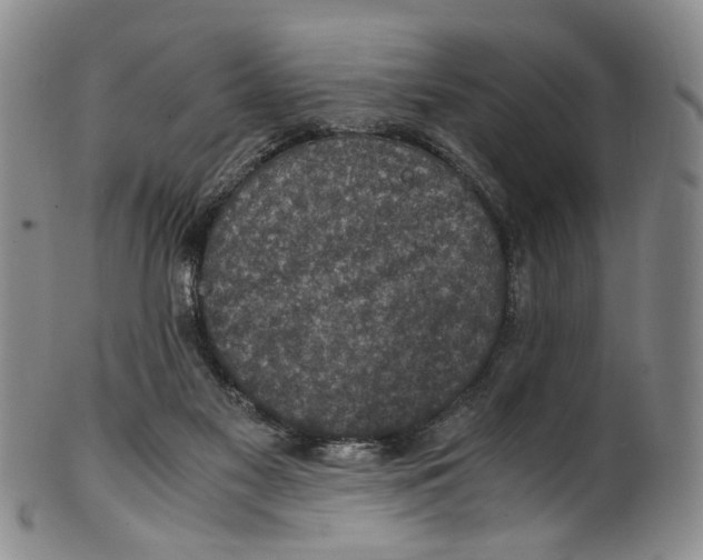 X0000100420117200806271516