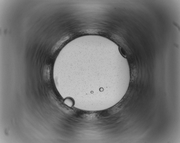 X0000100420120200806271516