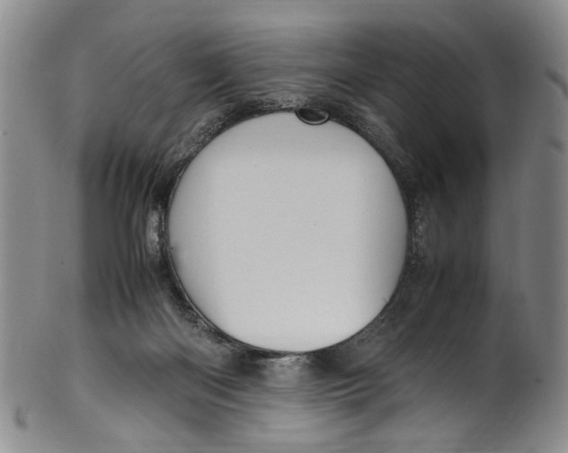 X0000100420122200806271516