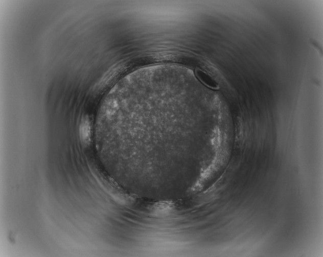 X0000100420124200806271516