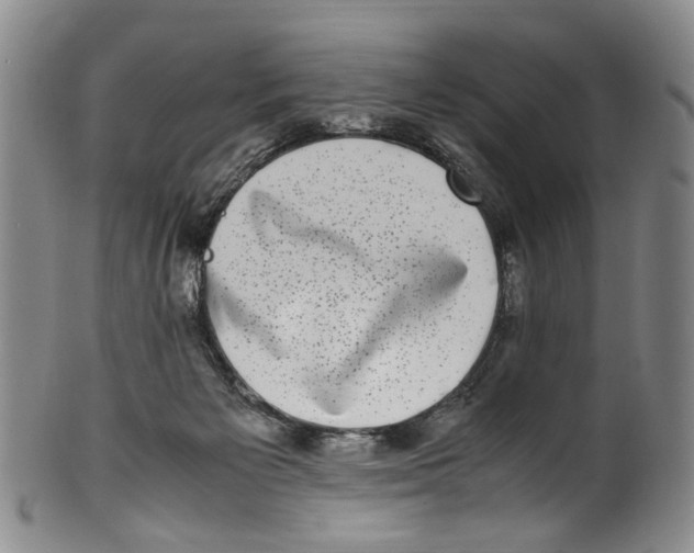 X0000100420125200806271516