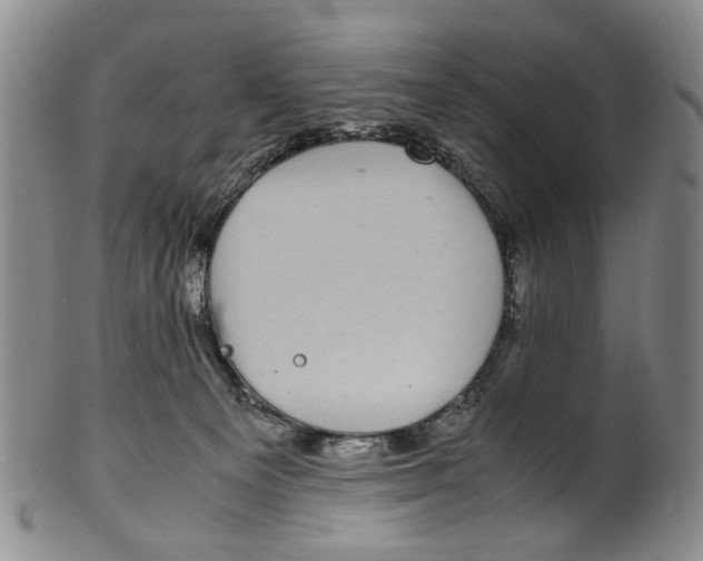 X0000100420129200806271516