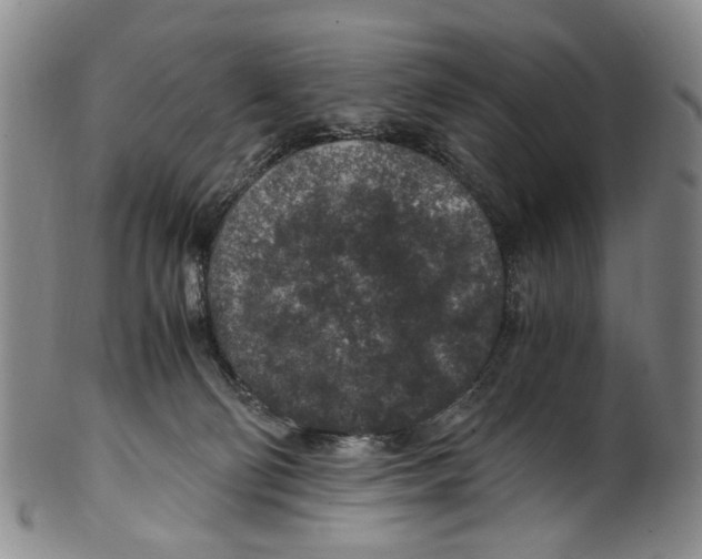 X0000100420130200806271516