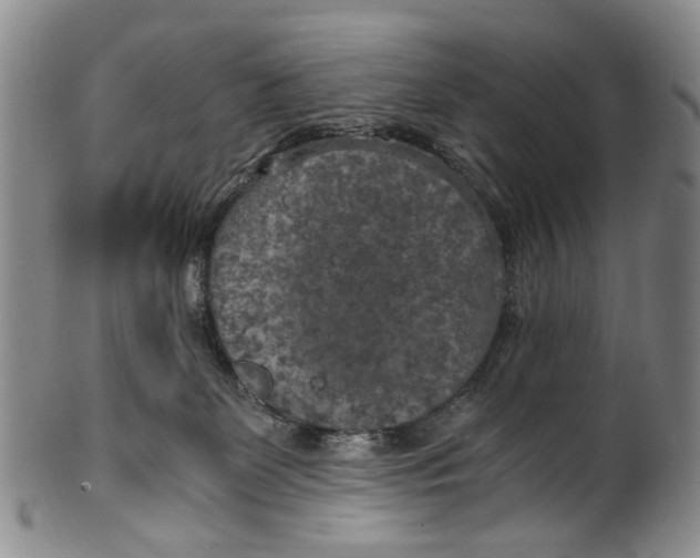 X0000100420131200806271516