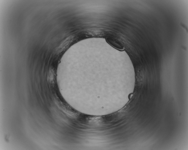 X0000100420132200806271516