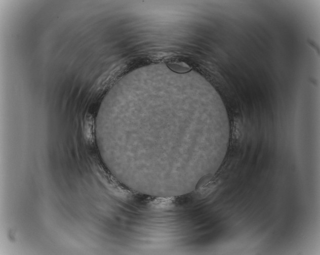 X0000100420138200806271516