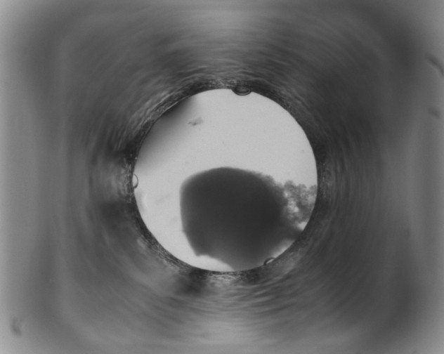 X0000100420139200806271516