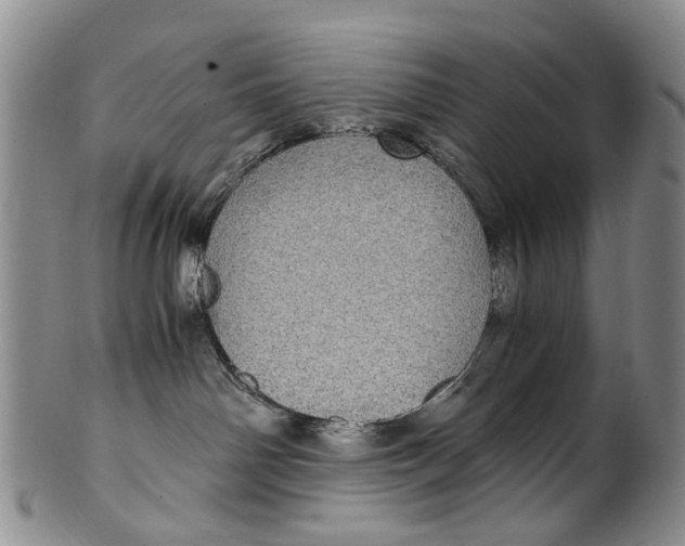 X0000100420142200806271516