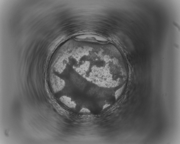 X0000100420145200806271515