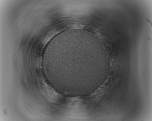 X0000100420146200806271515