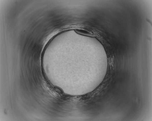 X0000100420148200806271515