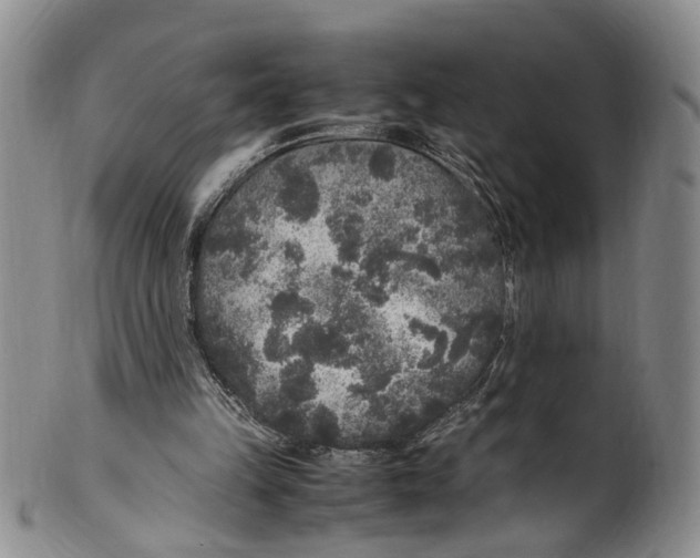 X0000100420149200806271515