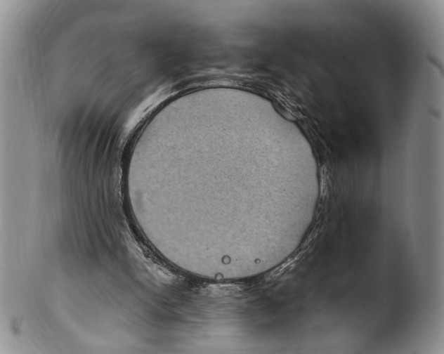 X0000100420150200806271515