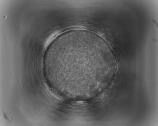 X0000100420151200806271515