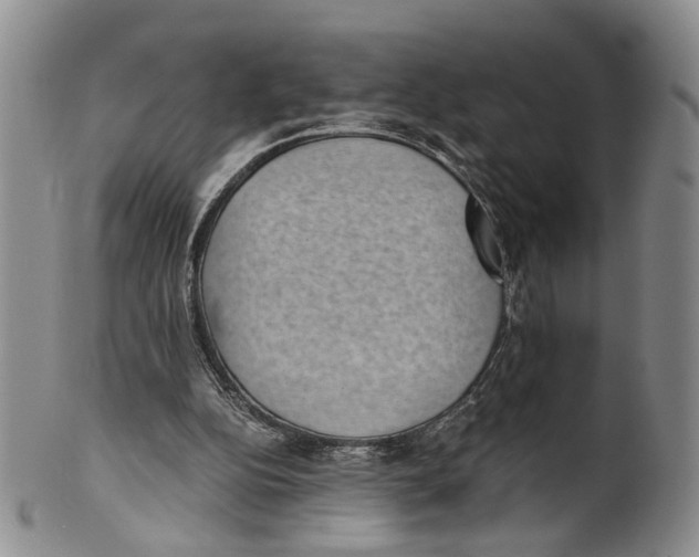 X0000100420152200806271515