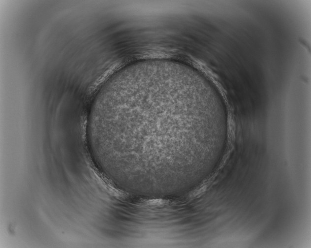 X0000100420153200806271515