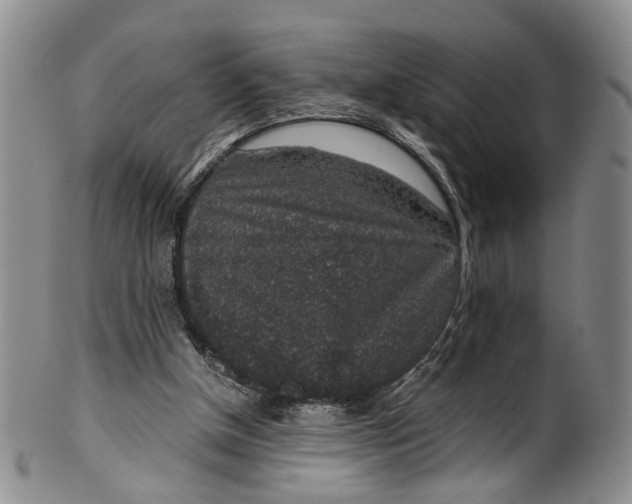 X0000100420154200806271515