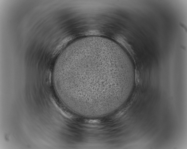 X0000100420157200806271515