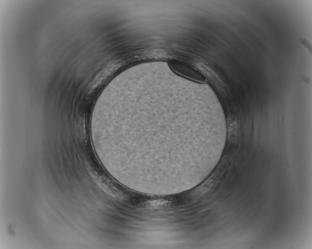 X0000100420158200806271515