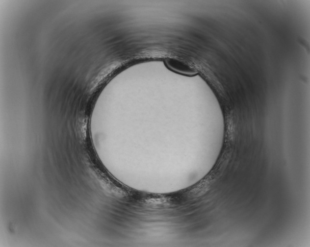 X0000100420160200806271515