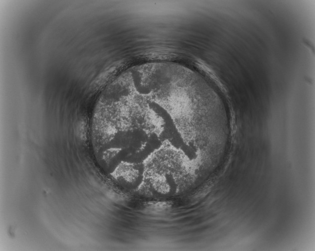 X0000100420161200806271515