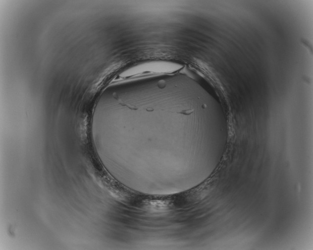 X0000100420163200806271515