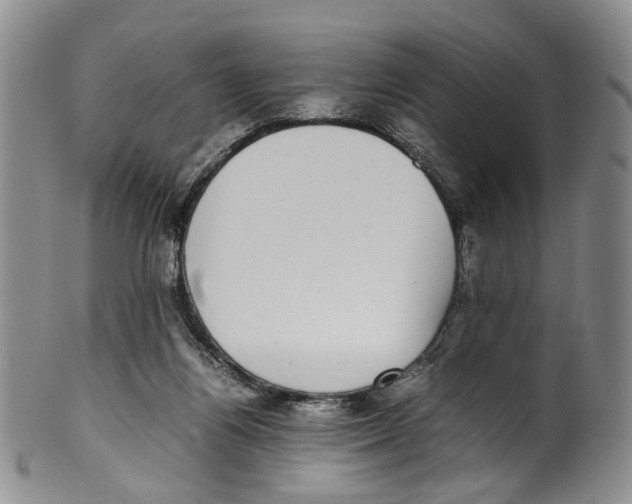 X0000100420164200806271515