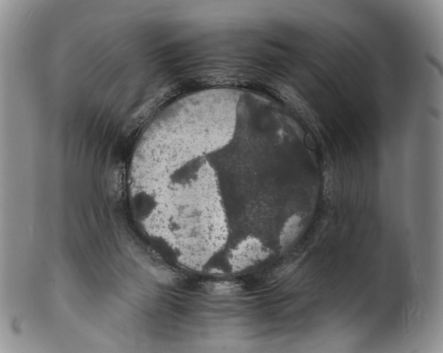 X0000100420165200806271515