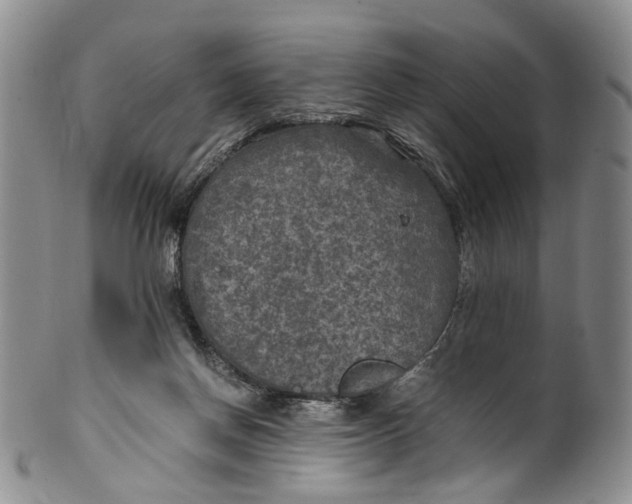 X0000100420166200806271515