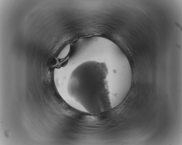 X0000100420167200806271515