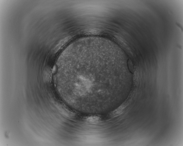 X0000100420168200806271515