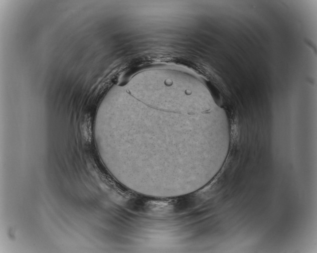 X0000100420170200806271515