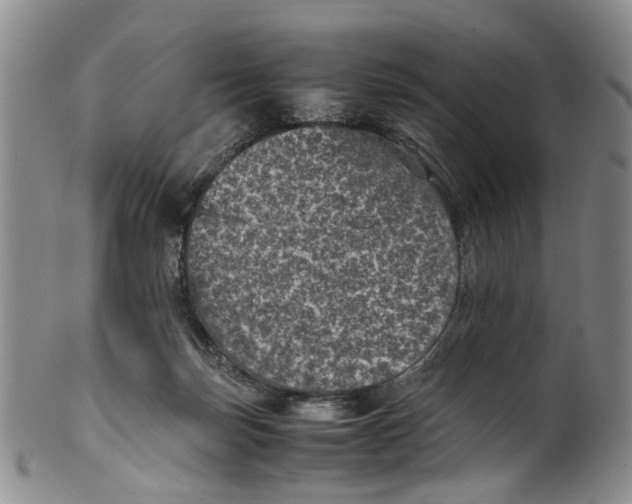 X0000100420171200806271515