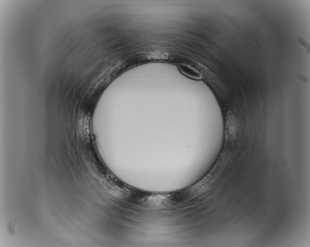 X0000100420172200806271515