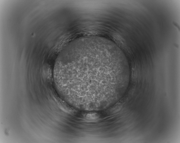 X0000100420173200806271515