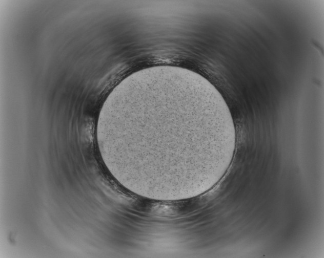 X0000100420174200806271515