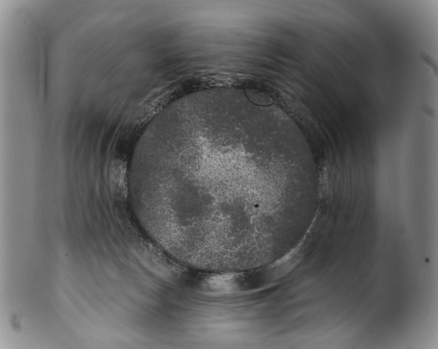 X0000100420178200806271515